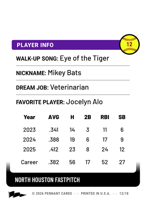 Back of a custom softball card with questions and a batting stats table