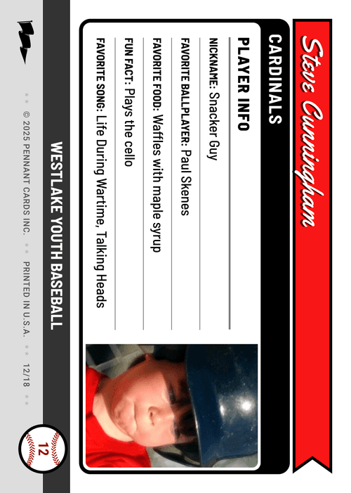 Pennant Baseball Card Back