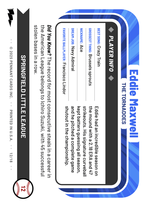 Ringer Baseball Card Back