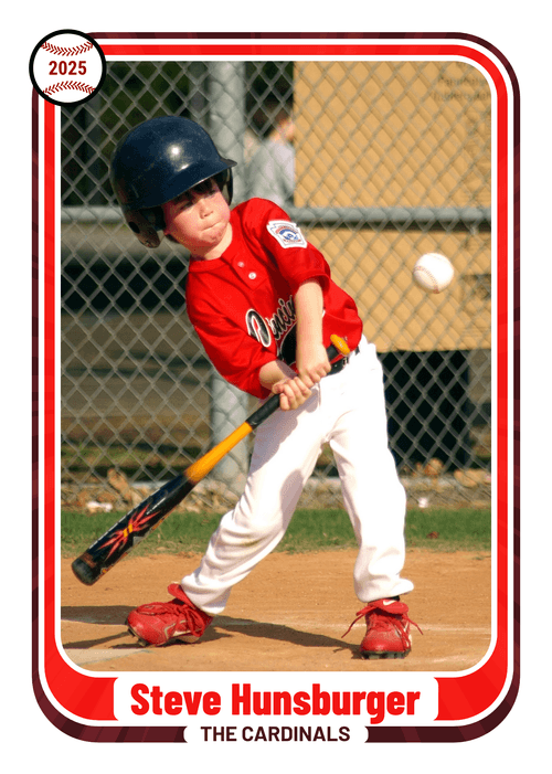 Ringer - Baseball Steve